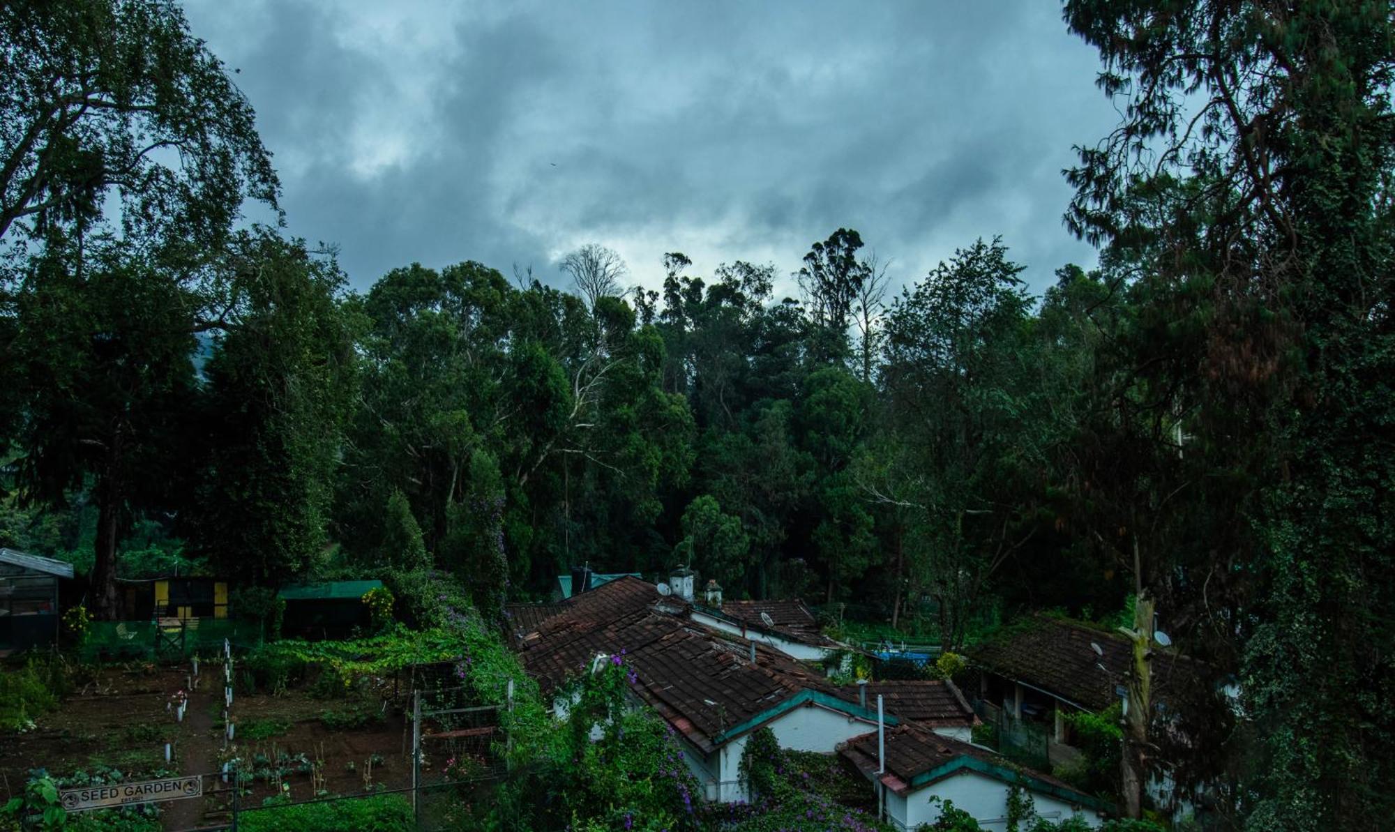 Treebo Kodai Kings Park, 650 M From Kodai Lake 코다이카날 외부 사진